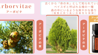 アロマ辞典（アーボビテ）