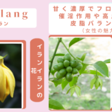 アロマ辞典（イランイラン）
