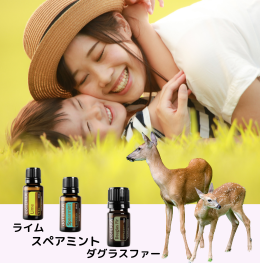 もうすぐ夏休み（７月）
