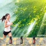 いつの間にか酷暑の夏（7月）