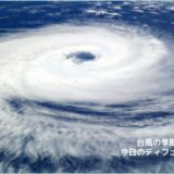 台風の季節（8月）