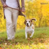 心も身体もスッキリ